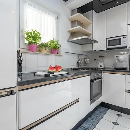 فيلة Martina - تروغير